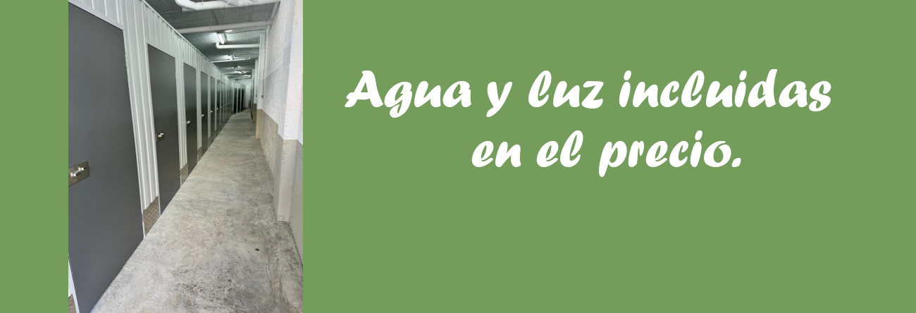 carrusel 29