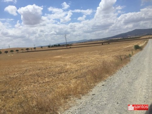 FINCA EN VENTA EN DON BENITO