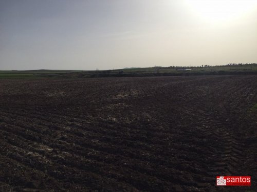 PARCELA EN VENTA EN DON BENITO (LAS CRUCES)