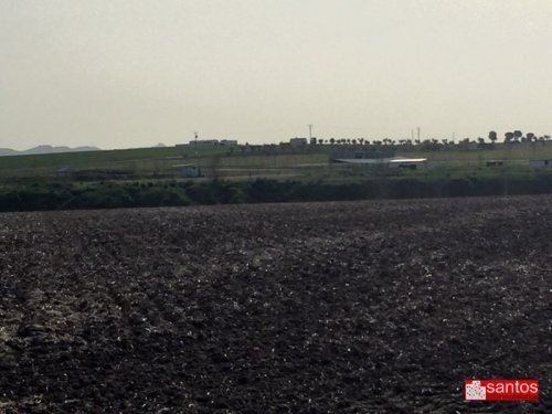 PARCELA EN VENTA EN DON BENITO (LAS CRUCES)