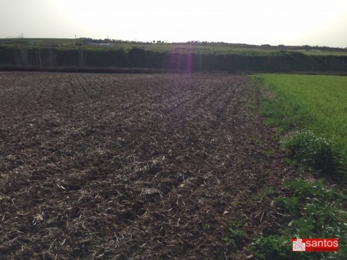 PARCELA EN VENTA EN DON BENITO (LAS CRUCES)