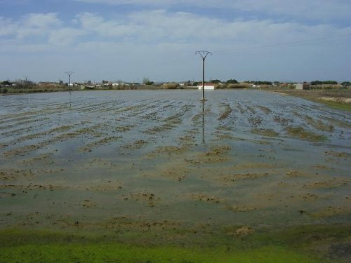 FINCA EN VENTA EN DON BENITO (ARAGONÉS)