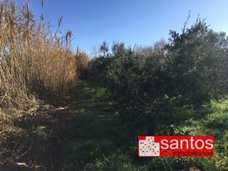 PARCELA EN VENTA EN GUAREÑA