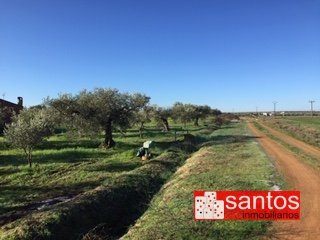 PARCELA EN VENTA EN GUAREÑA