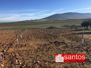 FINCA EN VENTA EN DON BENITO