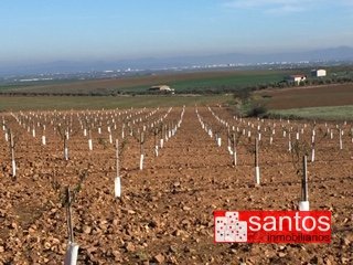 FINCA EN VENTA EN DON BENITO