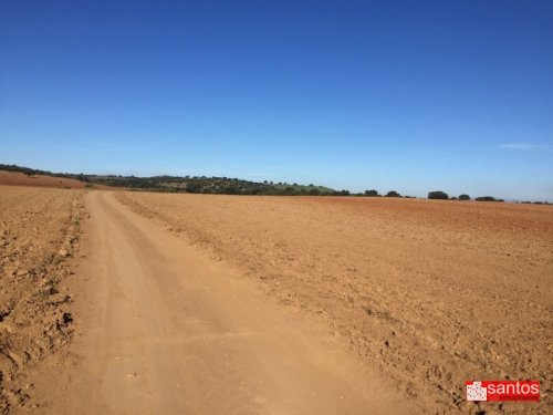 FINCA EN VENTA EN DON BENITO