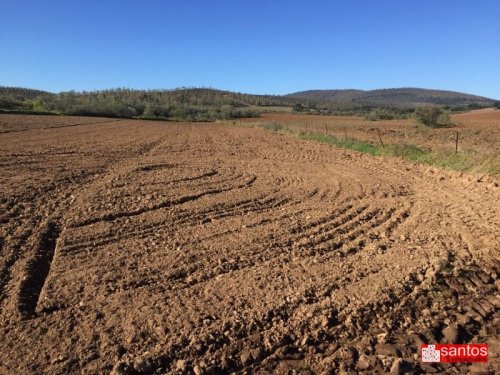 FINCA EN VENTA EN DON BENITO