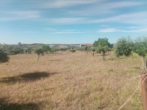 PARCELA EN VENTA EN QUINTANA DE LA SERENA