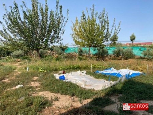 PARCELA EN VENTA EN DON BENITO