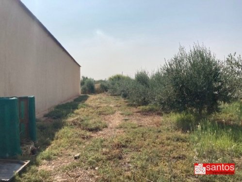 PARCELA EN VENTA EN DON BENITO