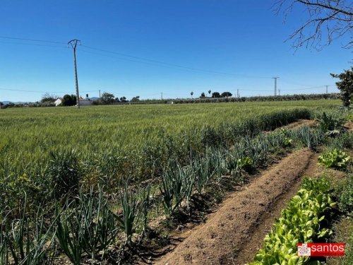 FINCA EN VENTA EN DON BENITO