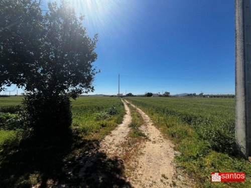 FINCA EN VENTA EN DON BENITO