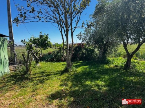 FINCA EN VENTA EN DON BENITO