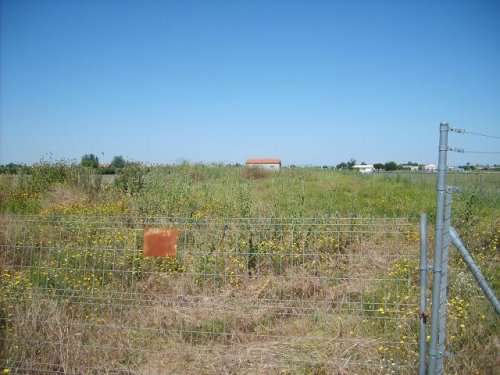 PARCELA EN VENTA EN VILLANUEVA DE LA SERENA (EL BADEN)