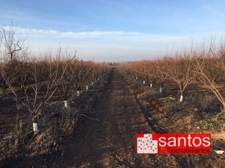 PARCELA EN VENTA EN ENTRERRIOS