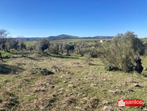 FINCA EN VENTA EN CAMPANARIO