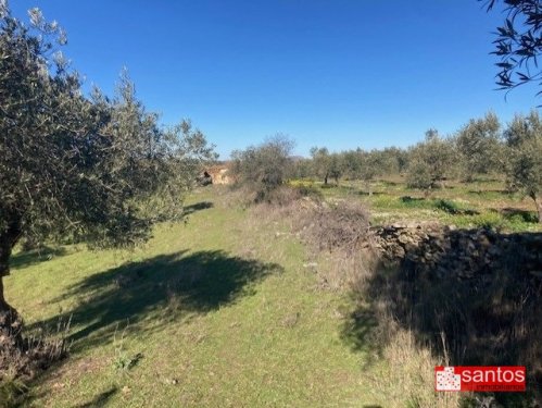 FINCA EN VENTA EN CAMPANARIO