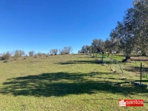 FINCA EN VENTA EN CAMPANARIO