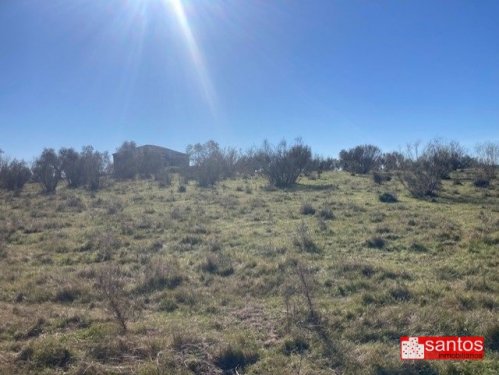 FINCA EN VENTA EN CAMPANARIO