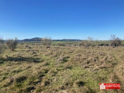 FINCA EN VENTA EN CAMPANARIO