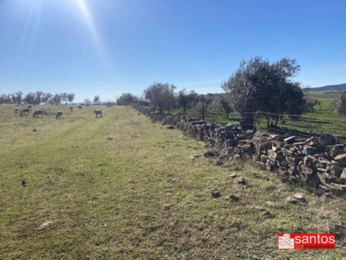 FINCA EN VENTA EN CAMPANARIO