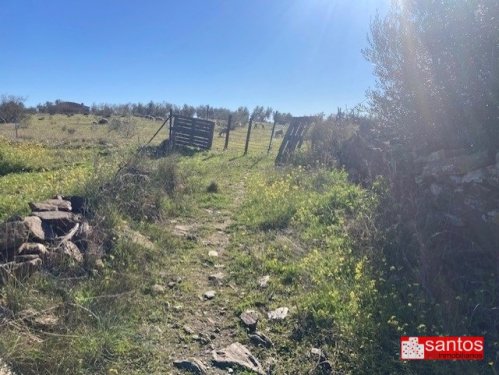 FINCA EN VENTA EN CAMPANARIO