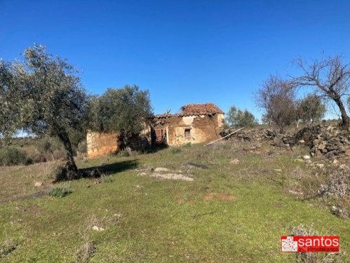 FINCA EN VENTA EN CAMPANARIO
