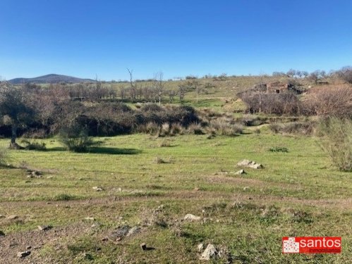 FINCA EN VENTA EN CAMPANARIO