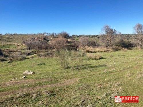 FINCA EN VENTA EN CAMPANARIO