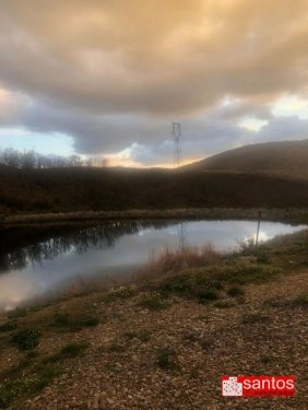 FINCA EN VENTA EN BERZOCANA