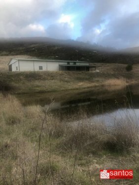 FINCA EN VENTA EN BERZOCANA