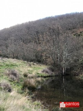 FINCA EN VENTA EN BERZOCANA