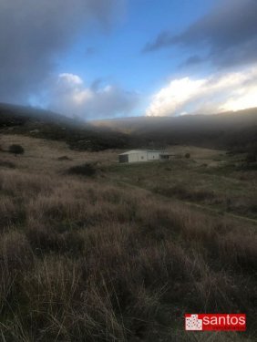 FINCA EN VENTA EN BERZOCANA