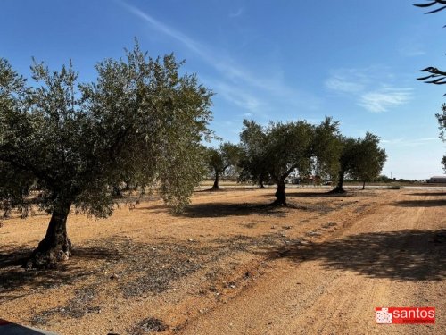 FINCA EN VENTA EN DON BENITO (LAS CRUCES)