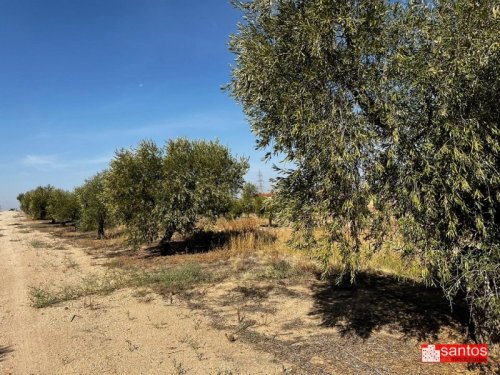 FINCA EN VENTA EN DON BENITO (LAS CRUCES)