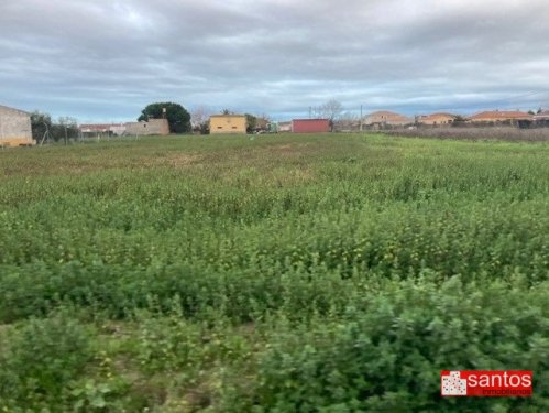 PARCELA EN VENTA EN DON BENITO