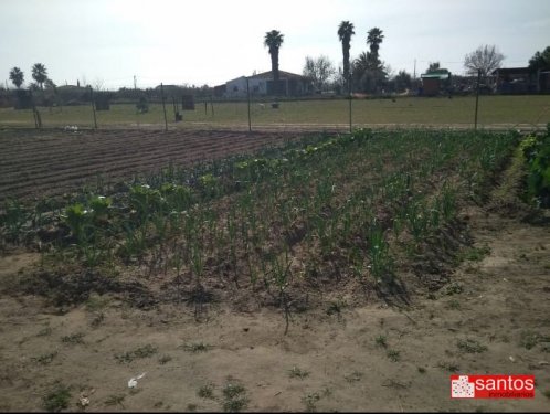 PARCELA EN VENTA EN DON BENITO (LAS ARENAS)