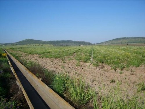 FINCA EN VENTA EN DON BENITO (MEDELLÍN)