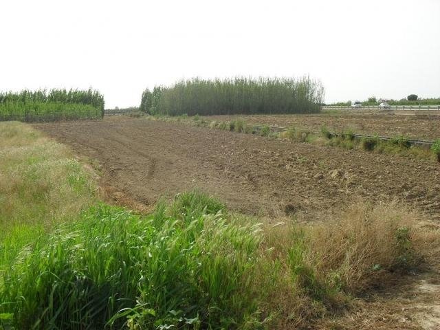 FINCA EN VENTA EN HERNÁN CORTÉS