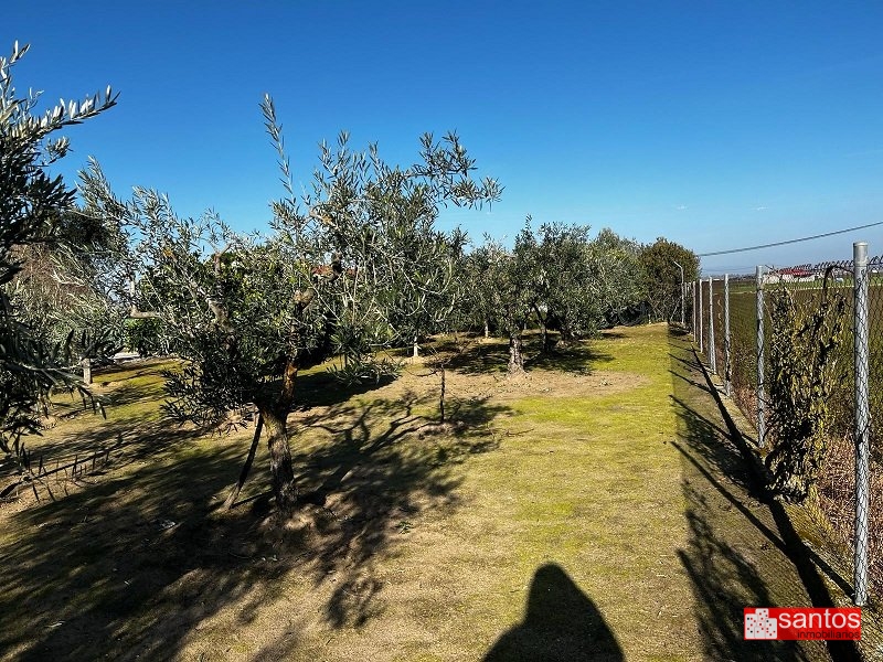 CHALET EN VENTA EN DON BENITO (LAS ARENAS)