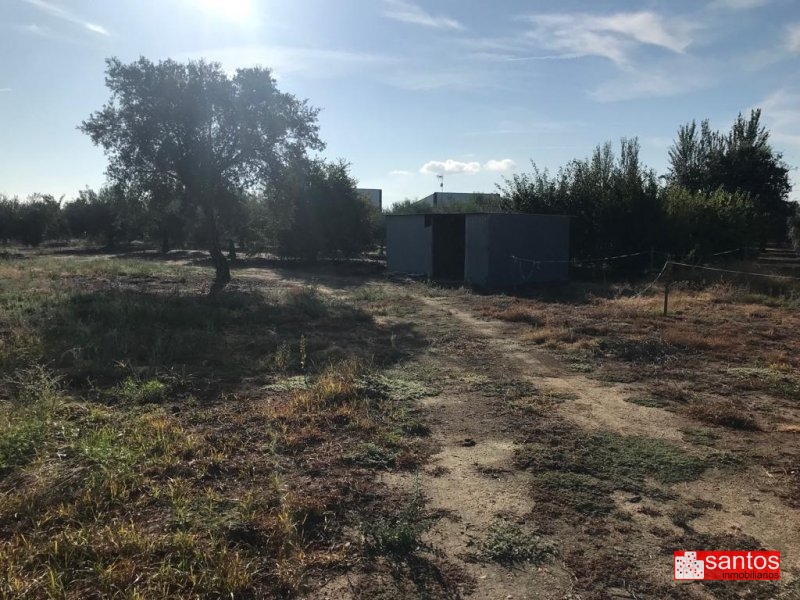PARCELA EN VENTA EN MENGABRIL