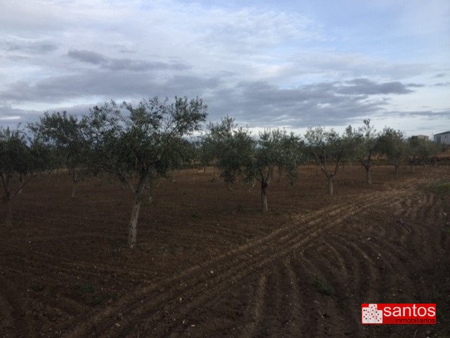 PARCELA EN VENTA EN MENGABRIL