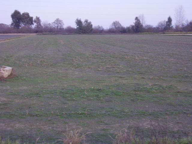 FINCA EN VENTA EN RENA (RENA)