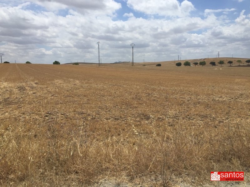 FINCA EN VENTA EN DON BENITO
