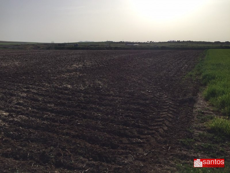 PARCELA EN VENTA EN DON BENITO (LAS CRUCES)