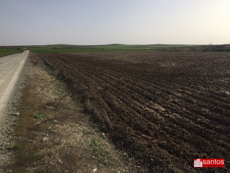 PARCELA EN VENTA EN DON BENITO (LAS CRUCES)
