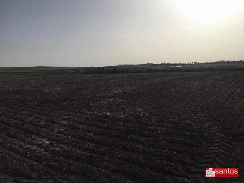 PARCELA EN VENTA EN DON BENITO (LAS CRUCES)