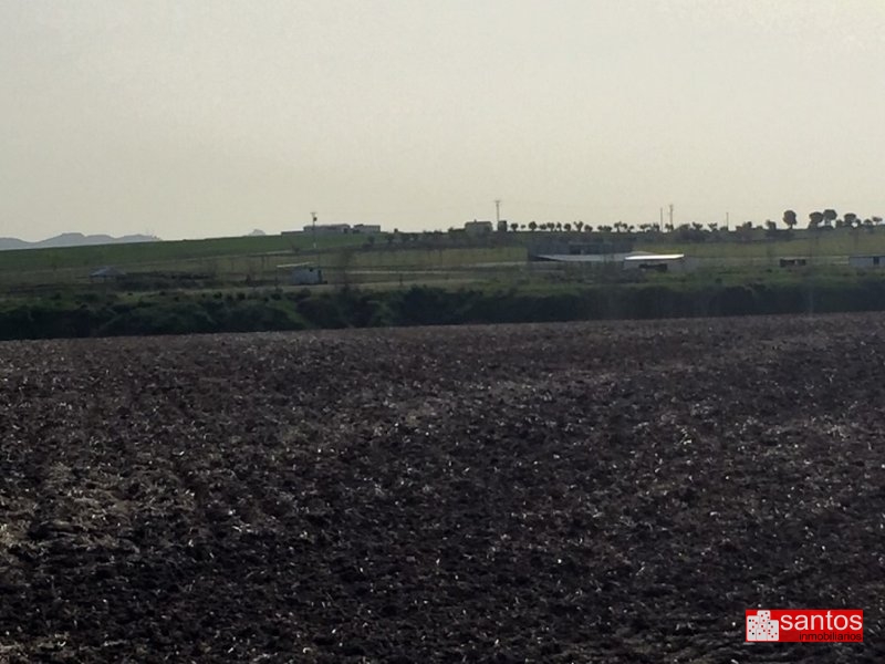 PARCELA EN VENTA EN DON BENITO (LAS CRUCES)