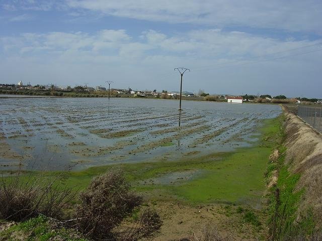 FINCA EN VENTA EN DON BENITO (ARAGONÉS)